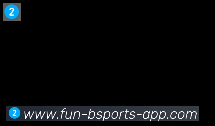 bsports体育合作伙伴